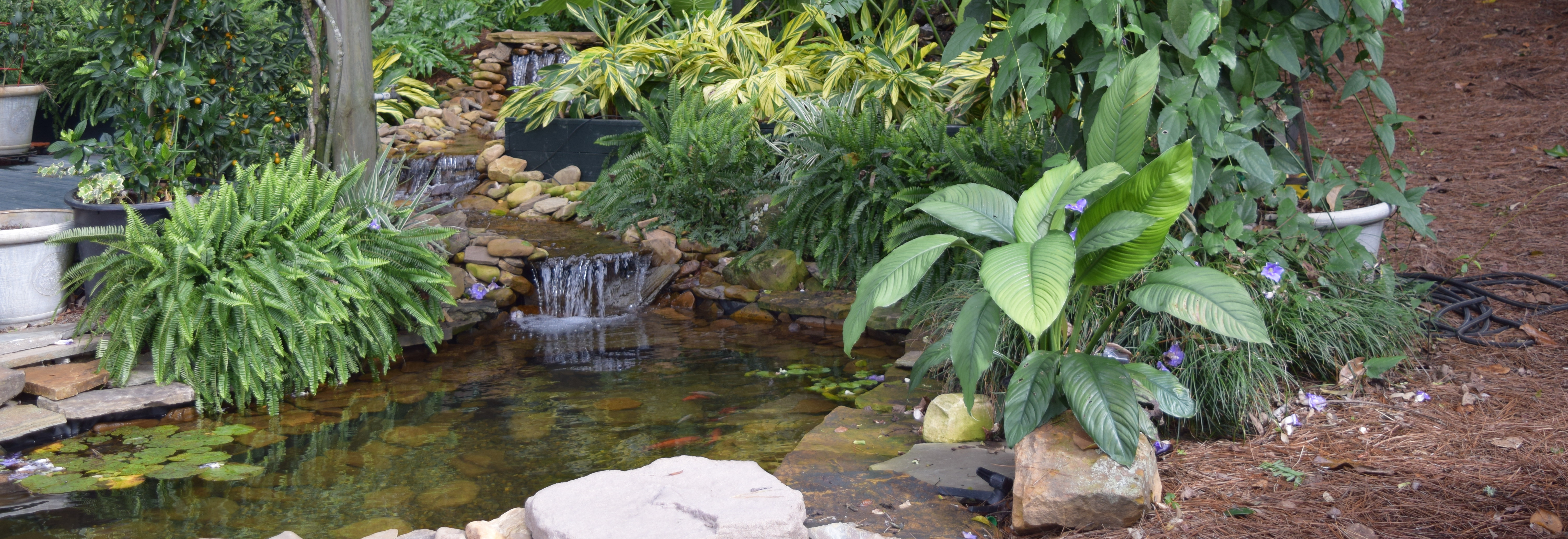 Blue Island Landscape & Irrigation Fairhope Eastern Shore Baldwin