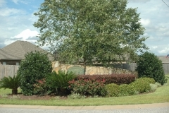 Landscaping