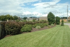 Lawn Maintenance
