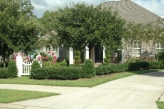 Landscaping