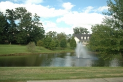 Irrigation