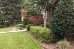 Lawn Maintenance